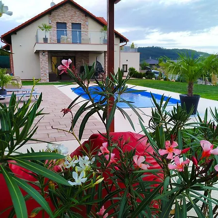 Villa Na Vinohradech Králŭv Dvŭr
